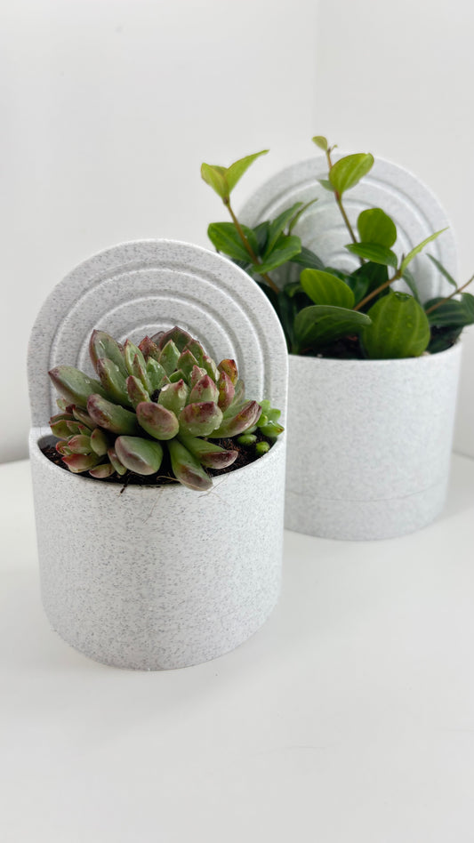 Bookend Planter with drip tray